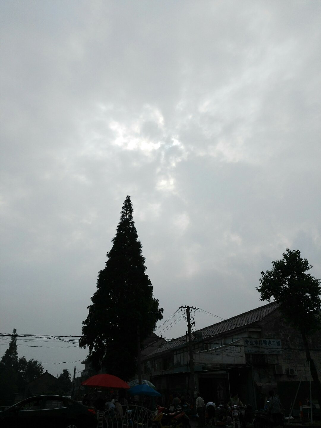 南桥镇最新天气预报