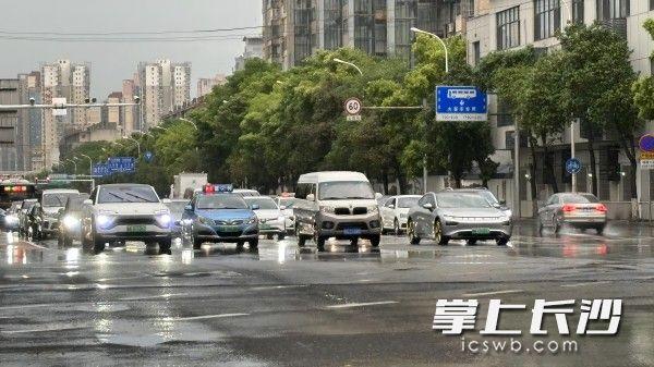 宗政雅诗 第3页