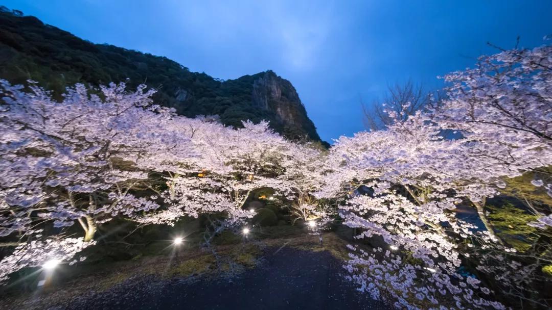 崇哲圣 第4页