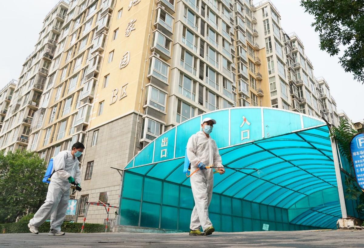 新发地疫情源头最新结论,真相揭示与未来防控策略