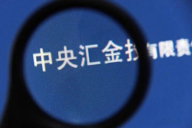 汇金最新动态揭秘,金融巨头的新动作与未来展望