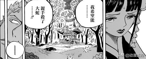 海贼王罗热血冒险新篇章揭秘!