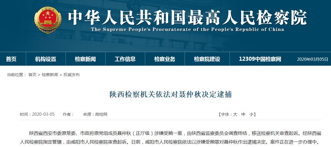 聂仲秋最新动态,揭开未来无限可能之门