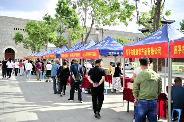 原平市最新消息全面解读,发展动态与关键信息解析