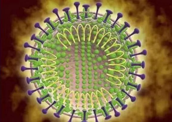 新疆抗疫进展与防控措施研究,新型冠状病毒最新动态下的应对策略