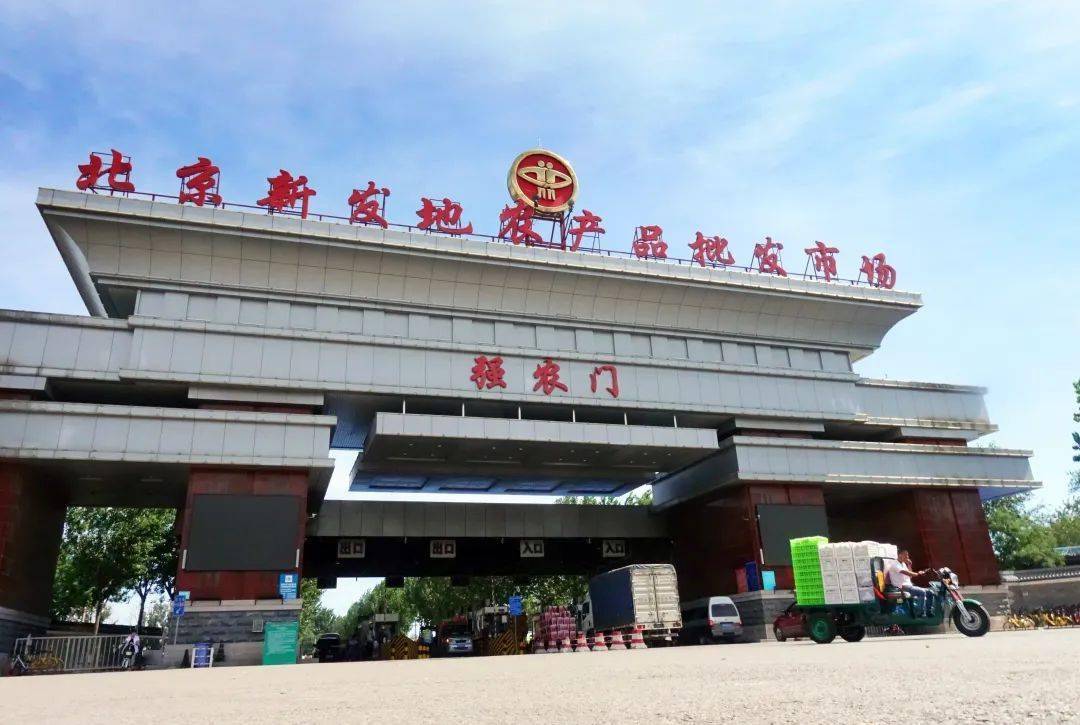 年晓枫 第2页