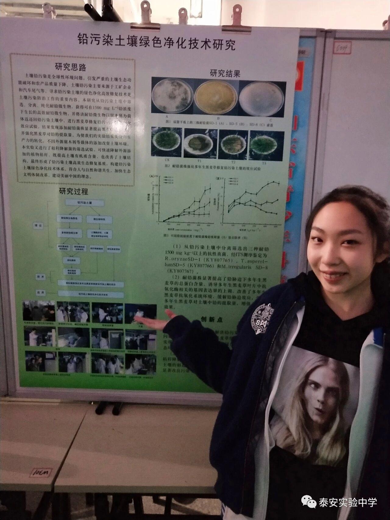 最新科技与创新精神,驱动未来的双动力引擎