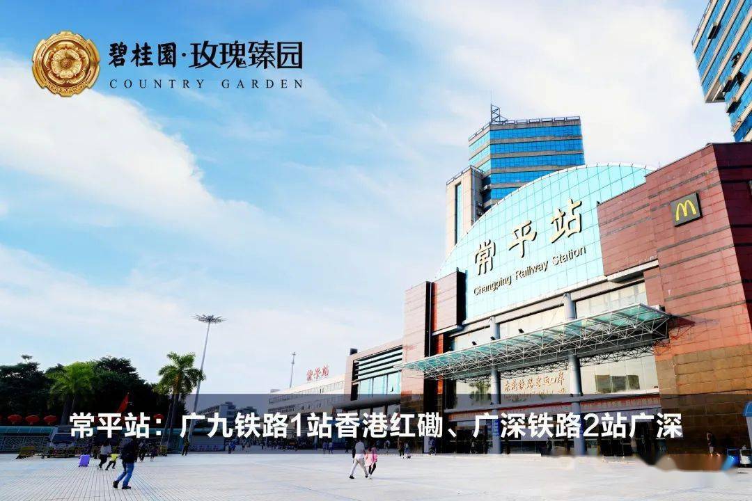 常平房价动态,市场走势及未来展望