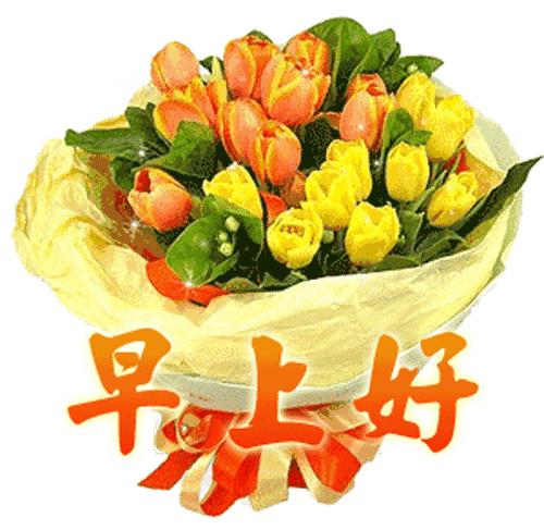 最新早上好祝福语,温馨寄语开启美好一天之门