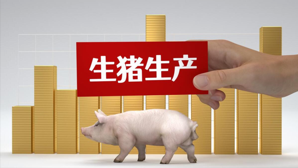 最新猪价行情走势解析,市场趋势与影响因素下的猪价大跌可能性探讨