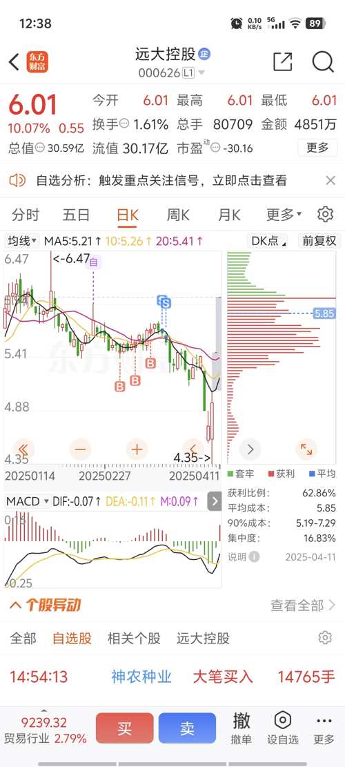 远大控股股票最新消息全面解读与分析